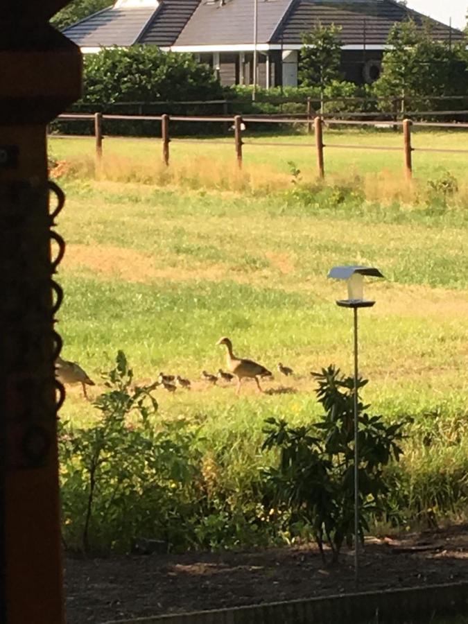 Houten Villa Tine Den Ham Kültér fotó
